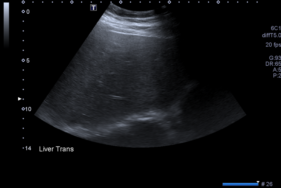 Radiology Quiz 48019