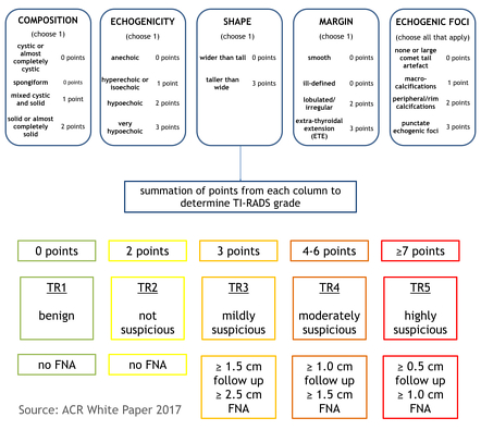 ACR Thyroid Imaging Reporting and Data System (ACR TI-RADS) | Radiology ...