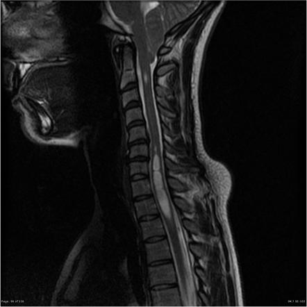 Playlist 'neuro viva' by Dr Yu Xuan Kitzing