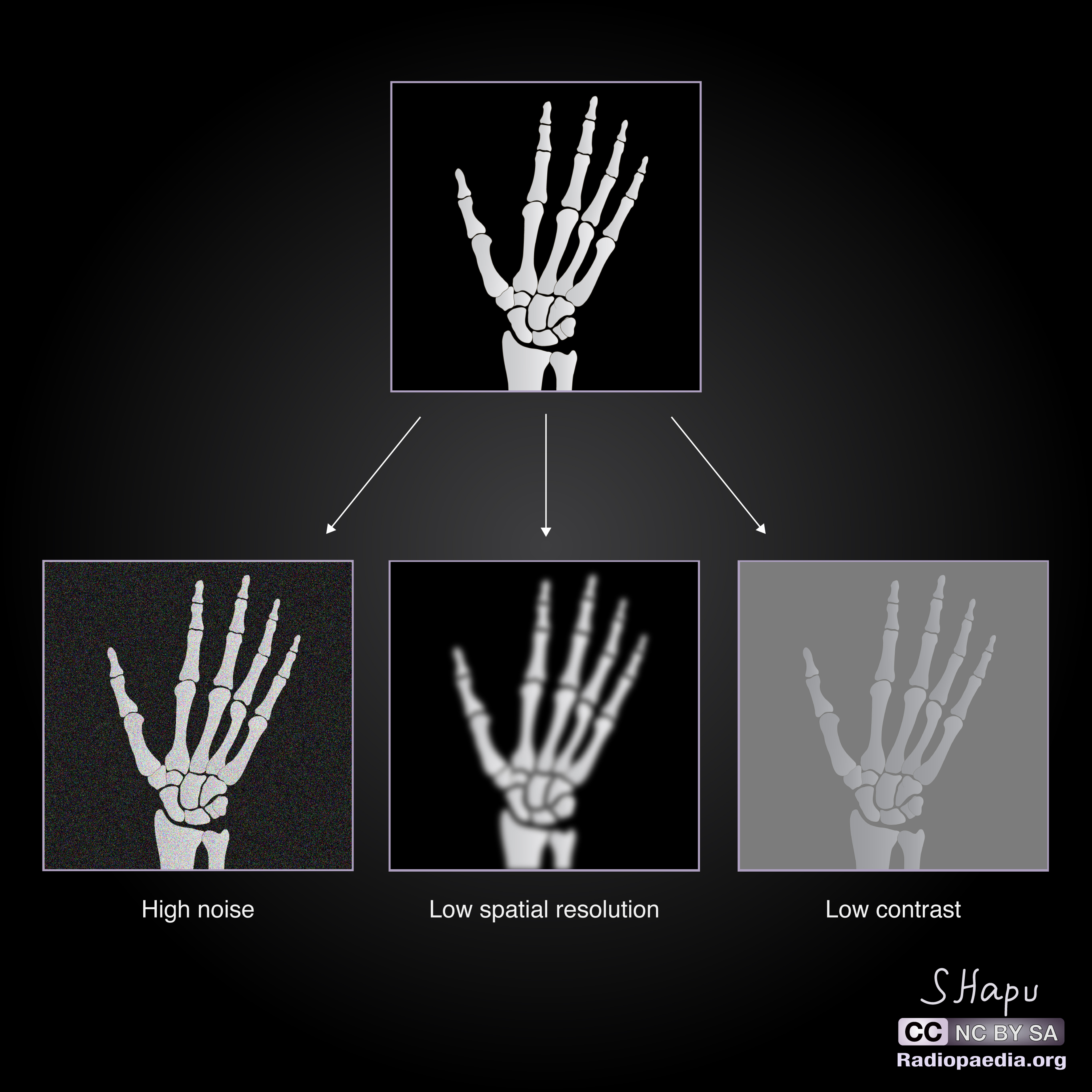 2-spatial-temporal-and-organisational-scales-are-usually-correlated