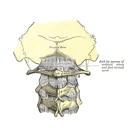 Posterior Atlanto Occipital Membrane