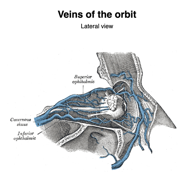 Orbit Radiology Reference Article Radiopaedia