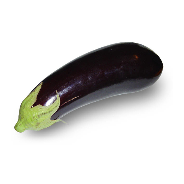 Aubergine sign penis Radiology Reference Article Radiopaedia