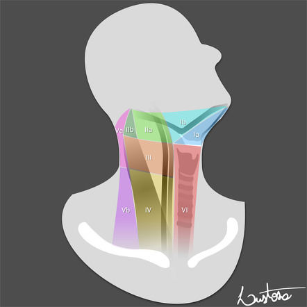 lymph nodes base of skull