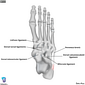 Radiology Quiz 151700 | Radiopaedia.org