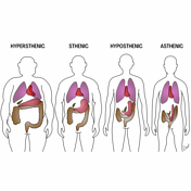 Cases | System: Not Applicable | Radiopaedia.org