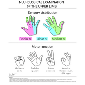 Images | Radiopaedia.org