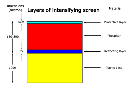 Influence of a contrast medium on the absorption of X-rays - Influence of a contrast  medium on the absorption of X-rays - Detection of X-rays - X-ray physics -  Atomic and nuclear