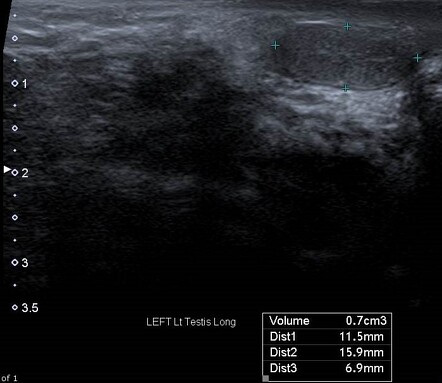 Images | Radiopaedia.org